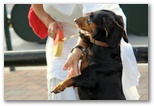 Click me!
